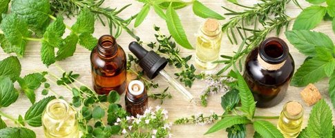 Fitoterapi Uygulayıcı Eğitimi